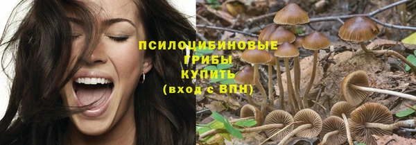 бутират Вяземский